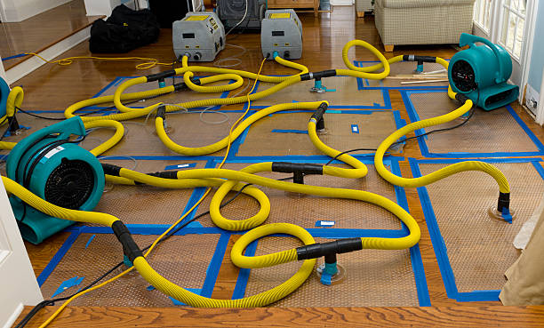 Professional Water Extraction technician working in Montpelier, OH